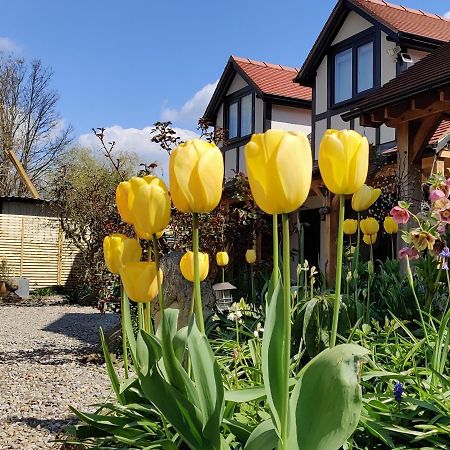 Delightful & Picturesque Modern Detached Apartment, Next To Chester Zoo, Near Park And Ride To City Centre المظهر الخارجي الصورة