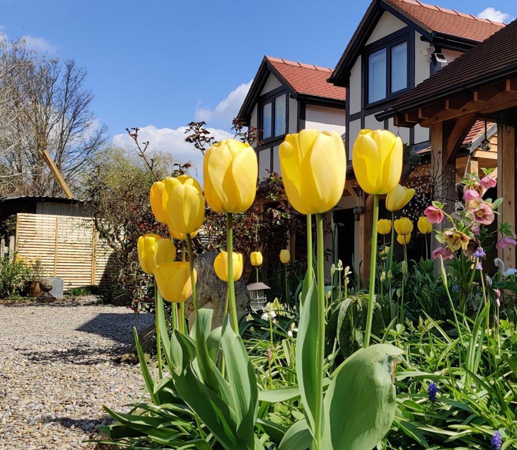 Delightful & Picturesque Modern Detached Apartment, Next To Chester Zoo, Near Park And Ride To City Centre المظهر الخارجي الصورة